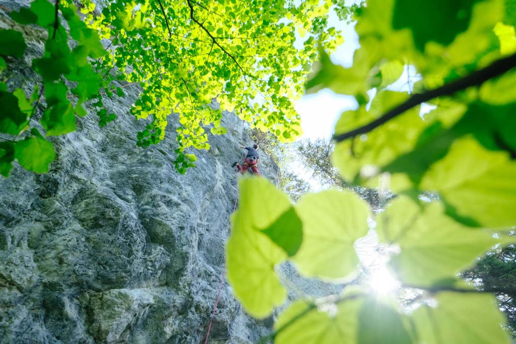 DAs Bild zeigt einen Kletterer durch grünes Laub fotografiert im Klettergarten Kraftwerkswand in Reutte.
