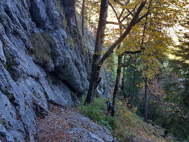 Kalkwand und Wandfuß im unteren Sektor des Klettergartens Bärenkopf