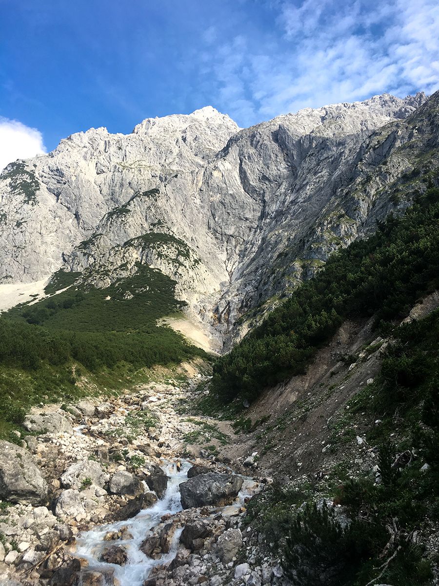Blick über den Wald zur Felswand des Marillensteigs in der Mieminger Kette
