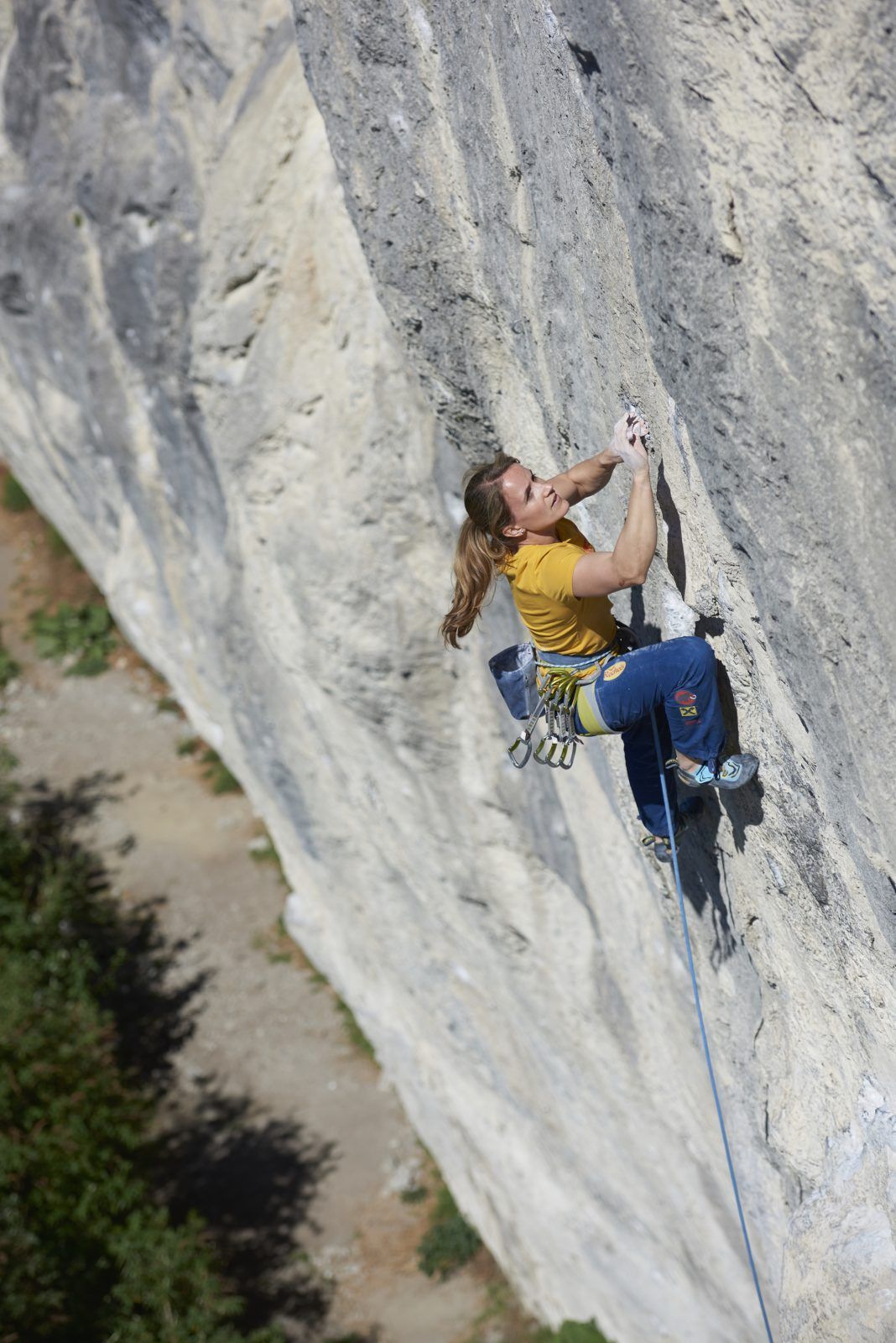 Jorg Verhoeven klettert im Klettergarten Dschungelbuch an der Martinswand