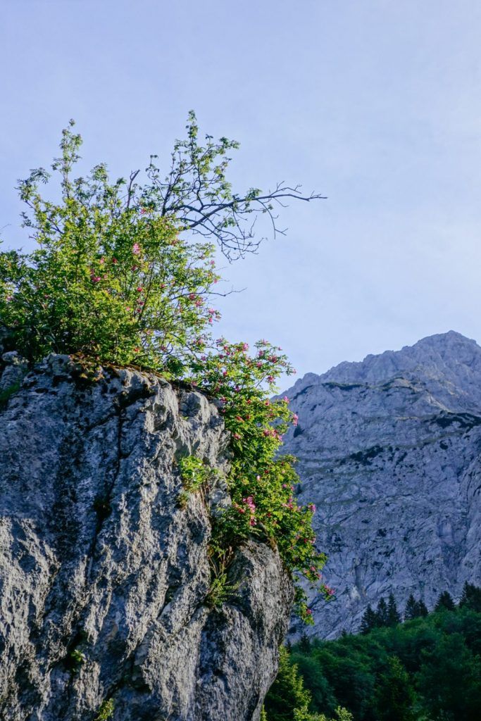 Climbers on the access to the Schneekar on the Wilder Kaiser