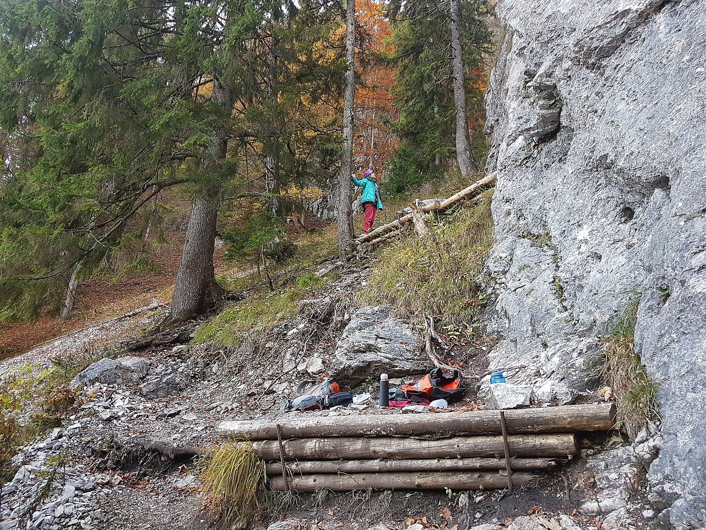 Holzstufen am Weg zum oberen Sektor des Klettergartens Bärenkopf