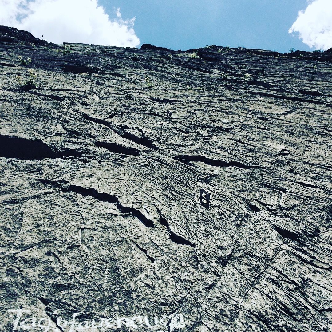 Kalkfels mit Schmetterling im Klettergebiet Zams-Affenhimmel