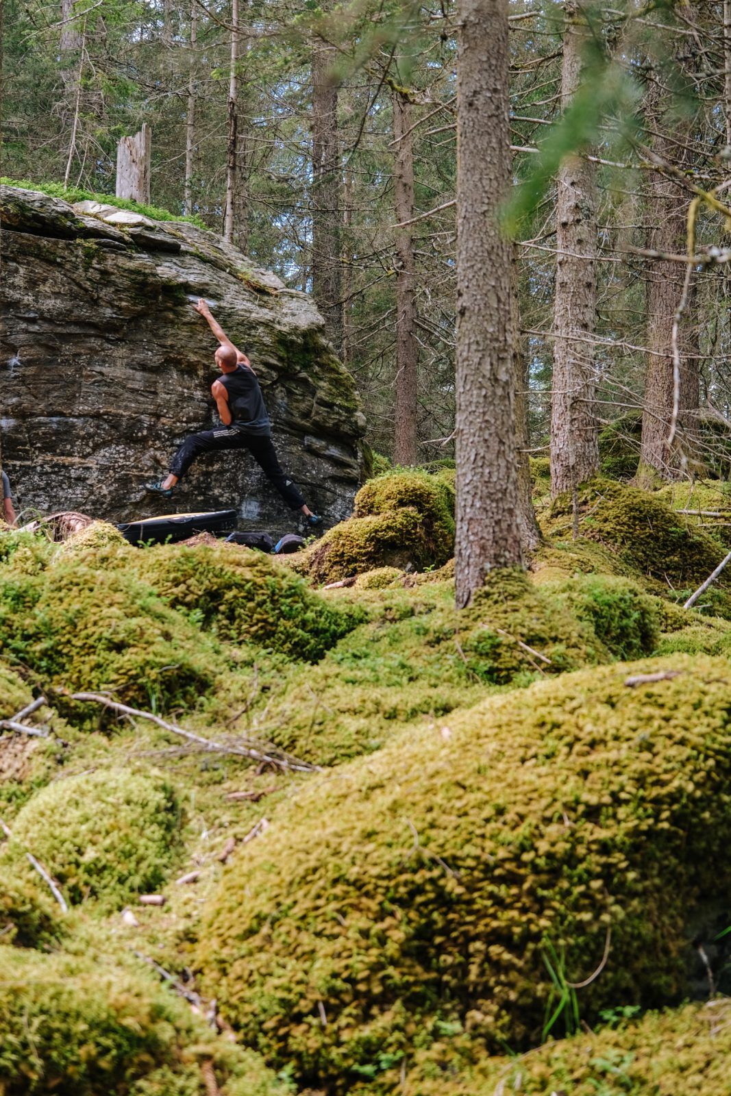 Boulderblock im moosigen Wald am Mandlers Boden