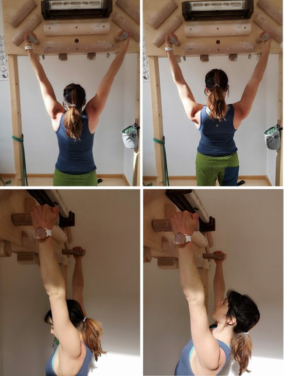 Scapula pull-ups