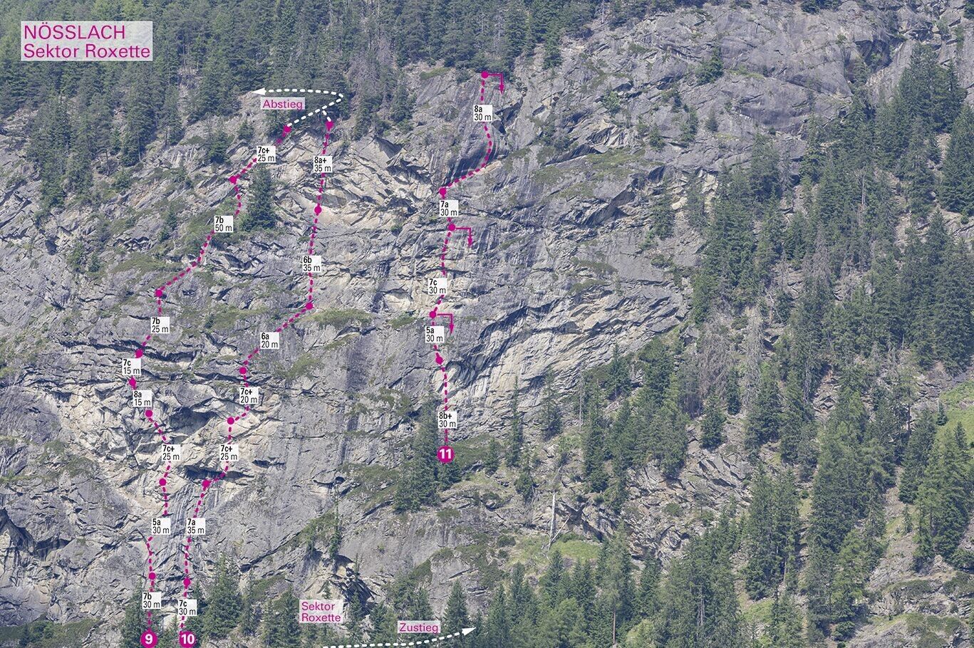 Topographie