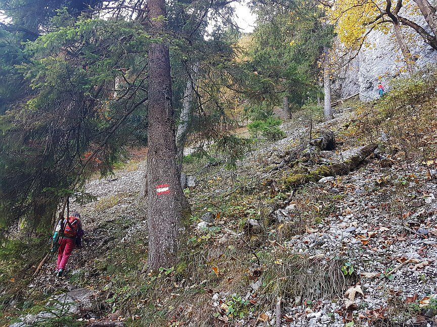 Steiler Waldweg im Herbst zum Klettergarten Bärenkopf