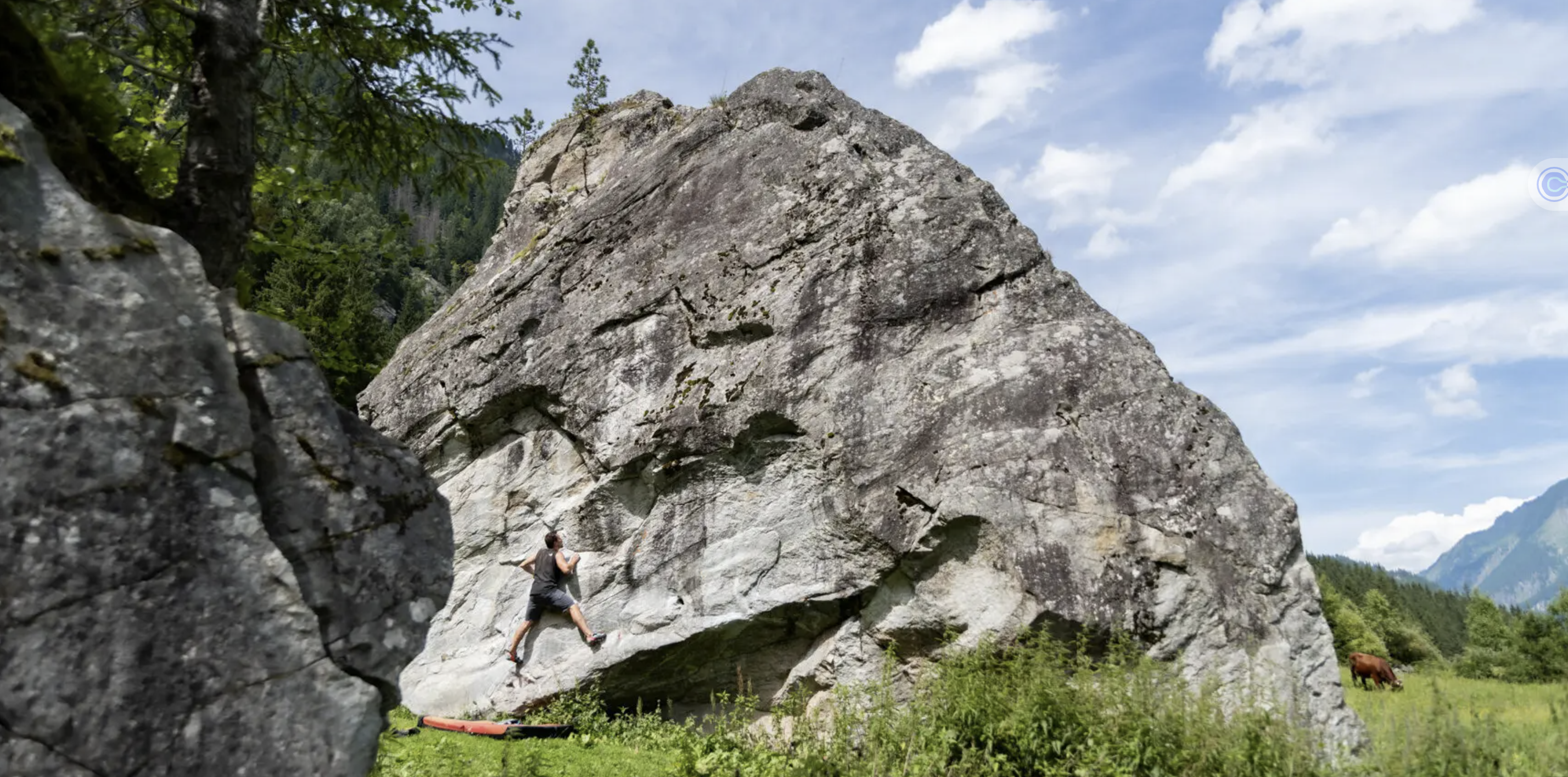 Kaseleralm Kletterer mit Kuehe im Hintergrund