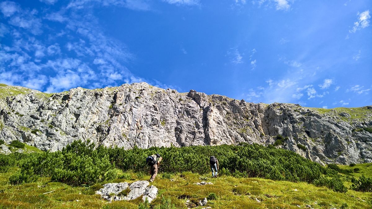 Almwiese mit Blick auf die Kletterwand am Hahntennjoch unter blauem Himmel