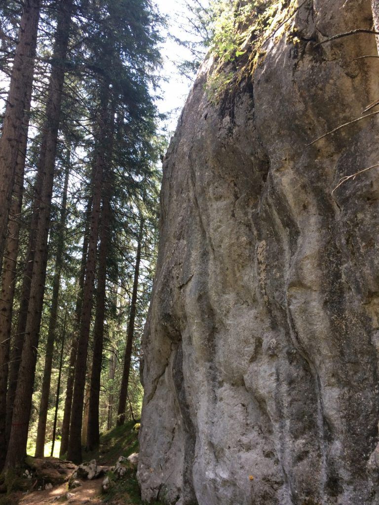 Kletterfelsen im Wald des Gebiets Reithle bei Imst
