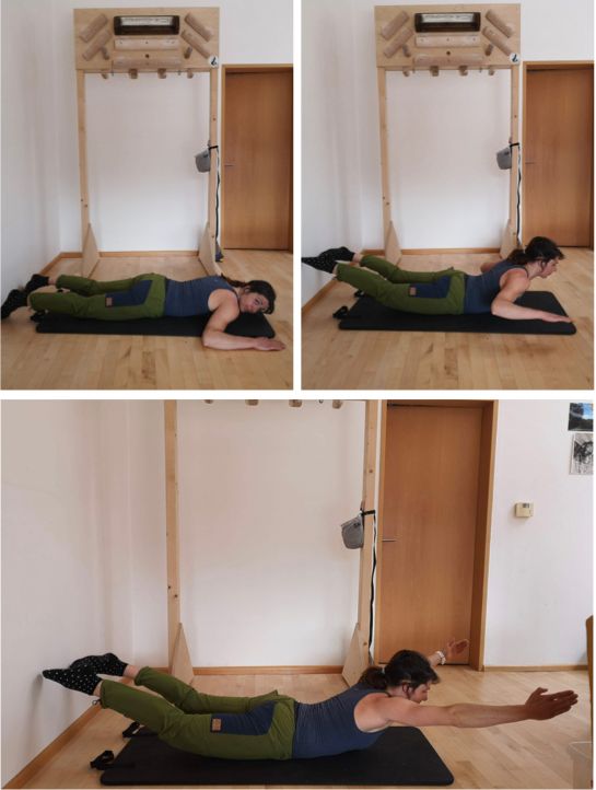 Back extensor exercise for climbing